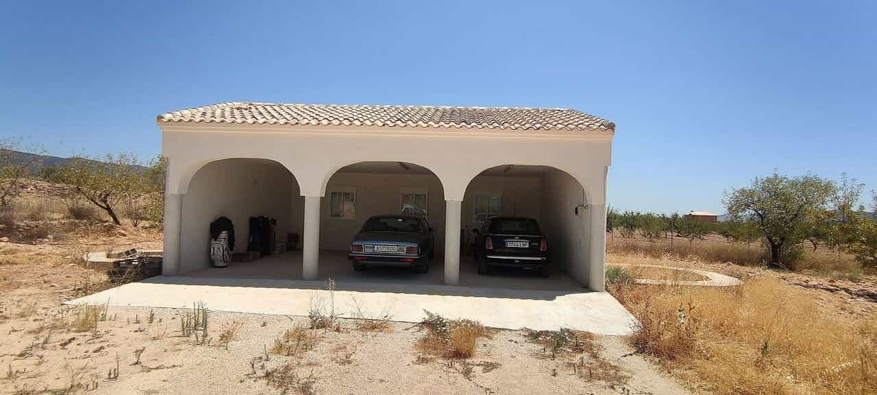 casa en Pinoso, Comunidad Valenciana 11163891