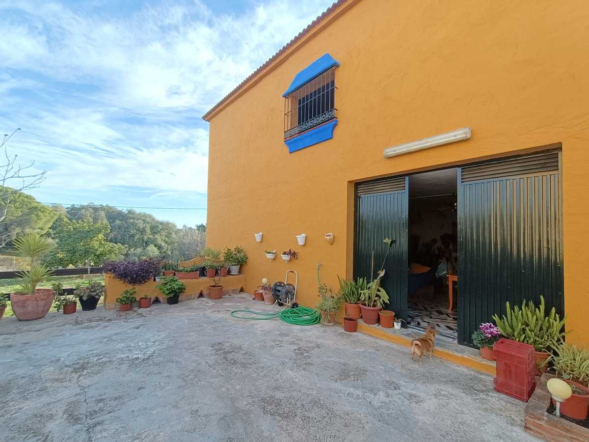 House in Coin, Andalusia 11164919