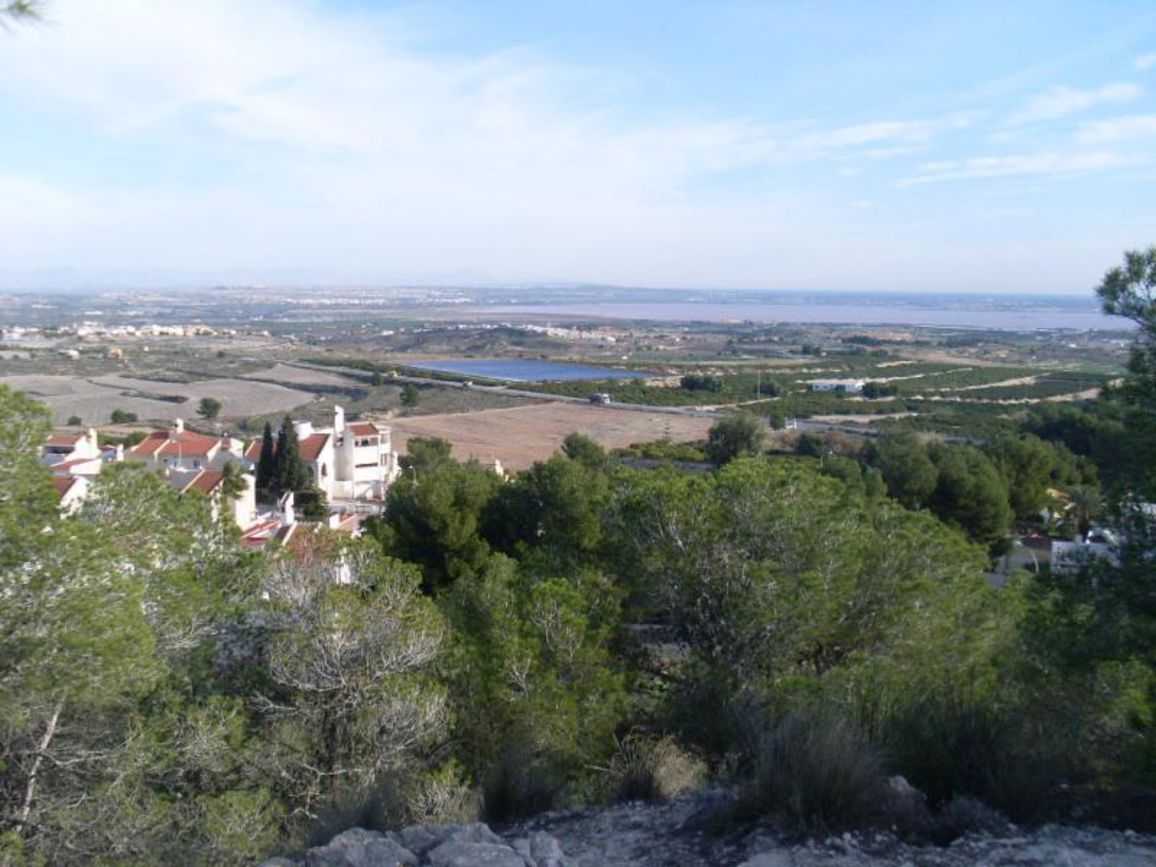 Maa sisään San Miguel de Salinas, Comunidad Valenciana 11165456