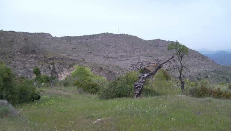 Land im Carratraca, Andalusien 11165755