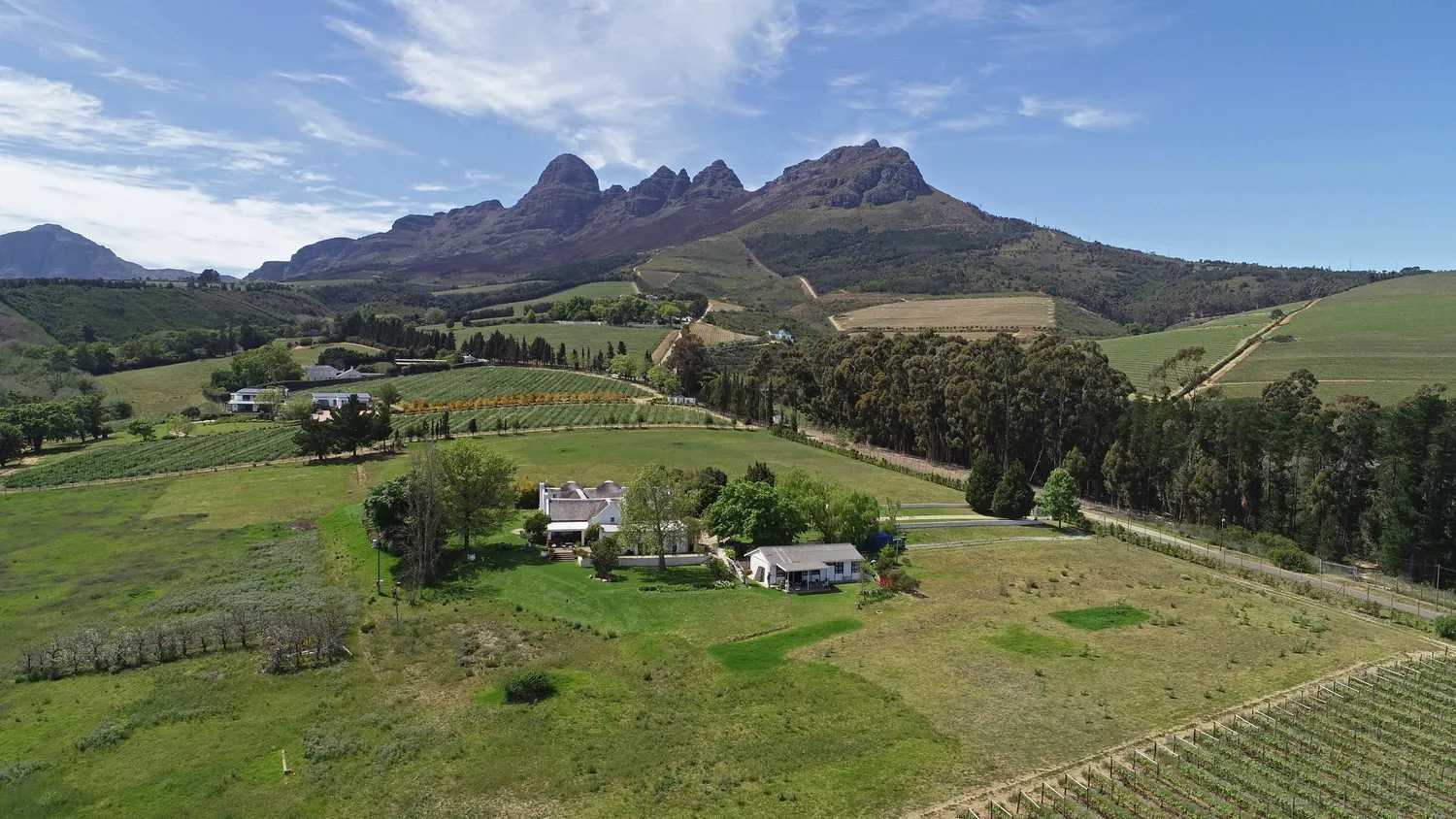 Inny w Stellenbosch Farms, Western Cape 11171959