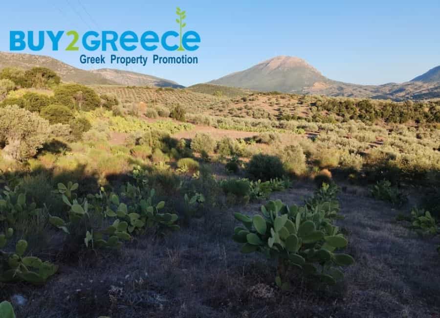 Land in Palaia Epidavros, Peloponnisos 11173017