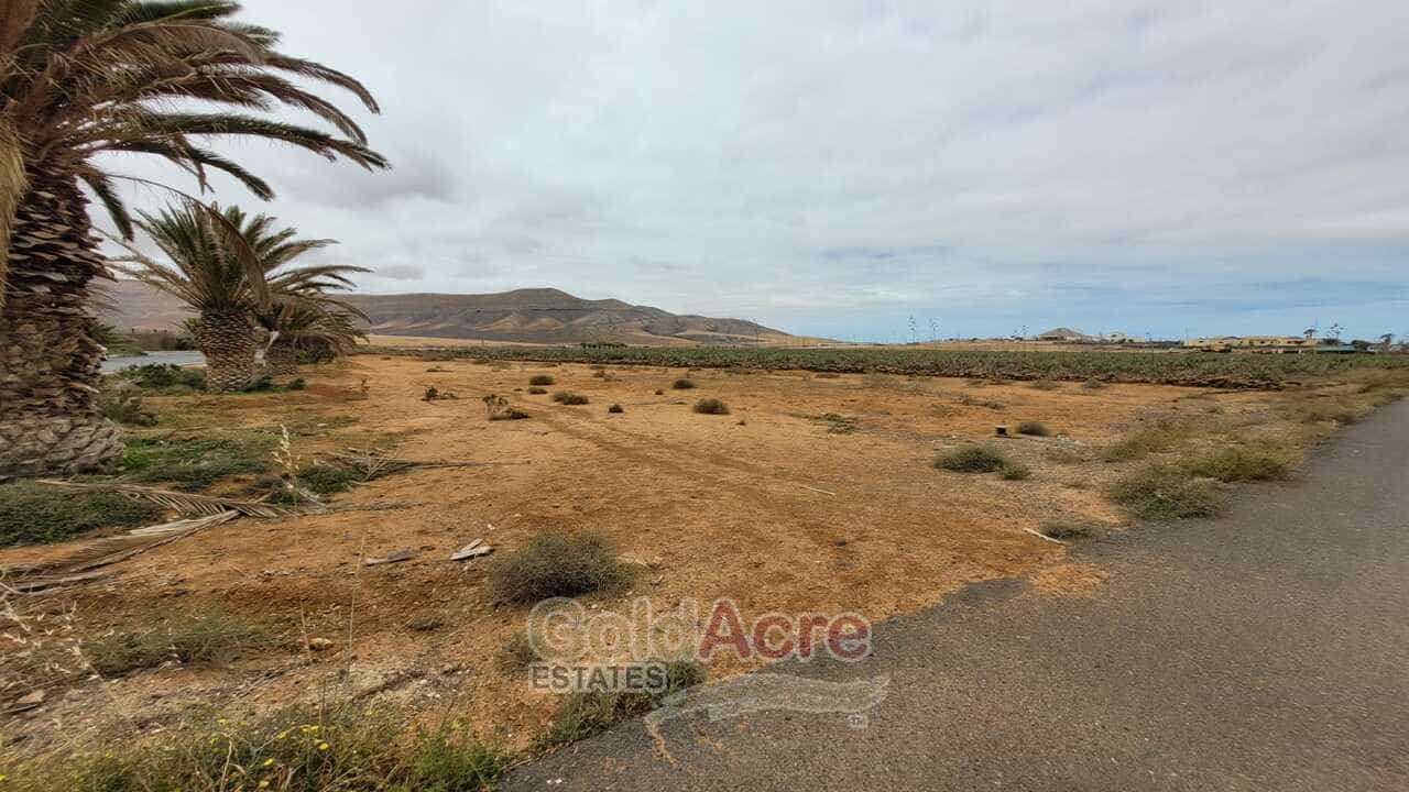 Tanah dalam La Oliva, Pulau Canary 11179900