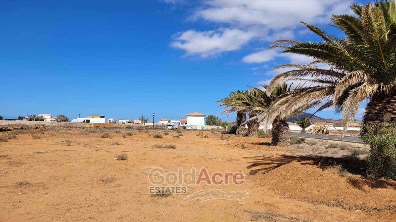 Tanah dalam La Oliva, Pulau Canary 11179900