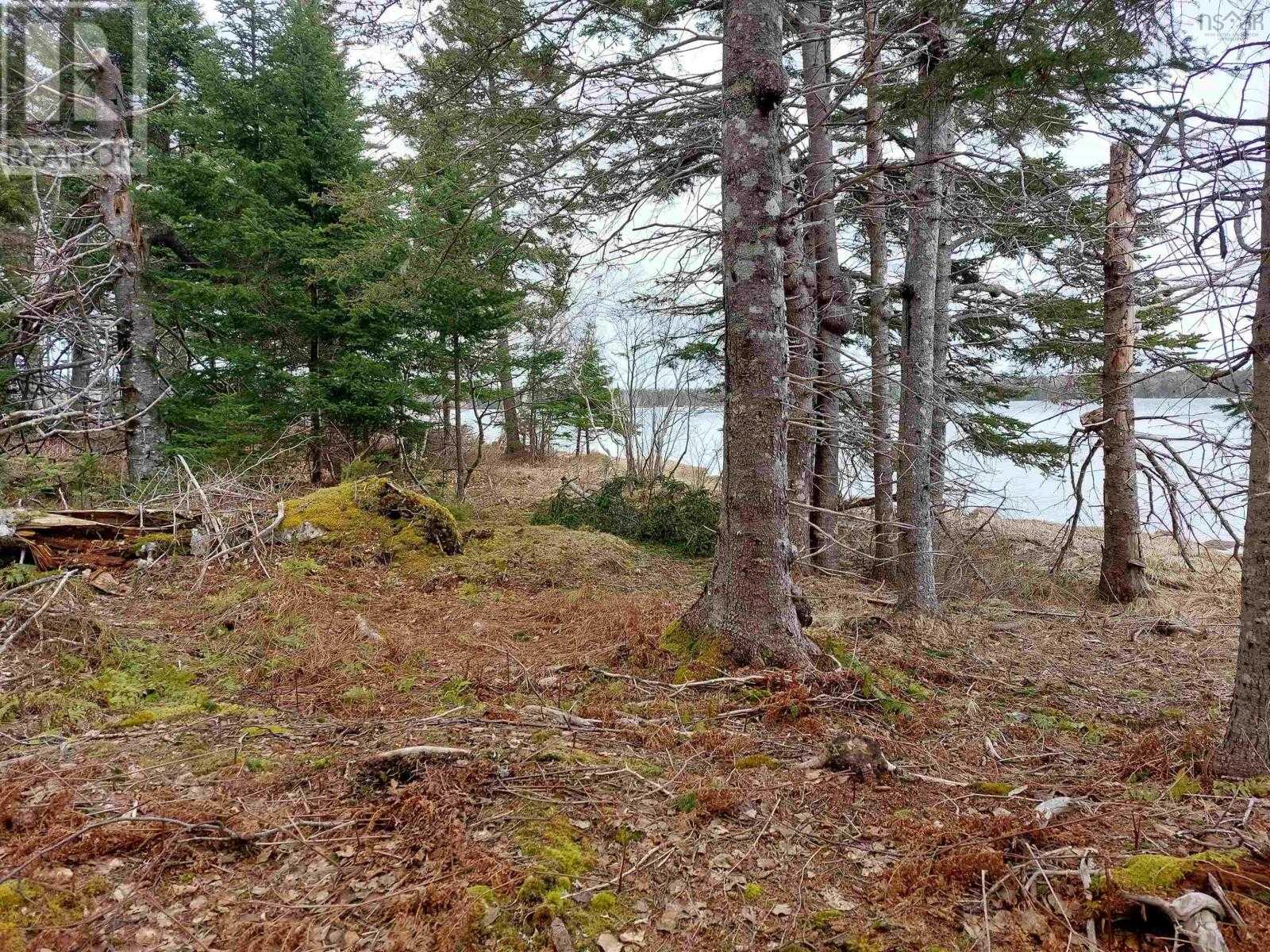 Jord i Militia Point, Nova Scotia 11181833