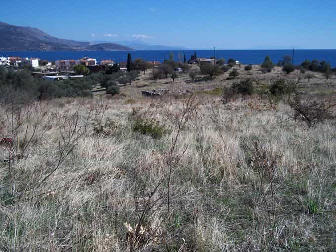 Land in Delphi, Sterea Ellada 11182399