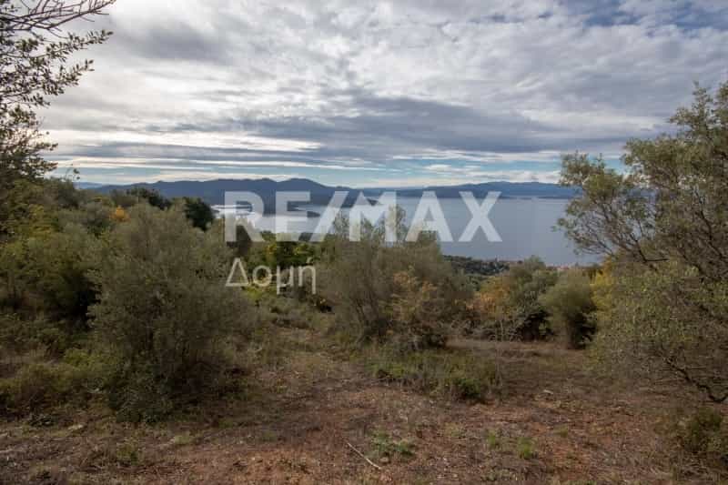 Land in Metochi,  11186320