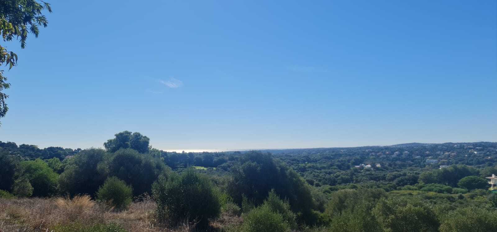 Land in San Roque, Andalusia 11191356
