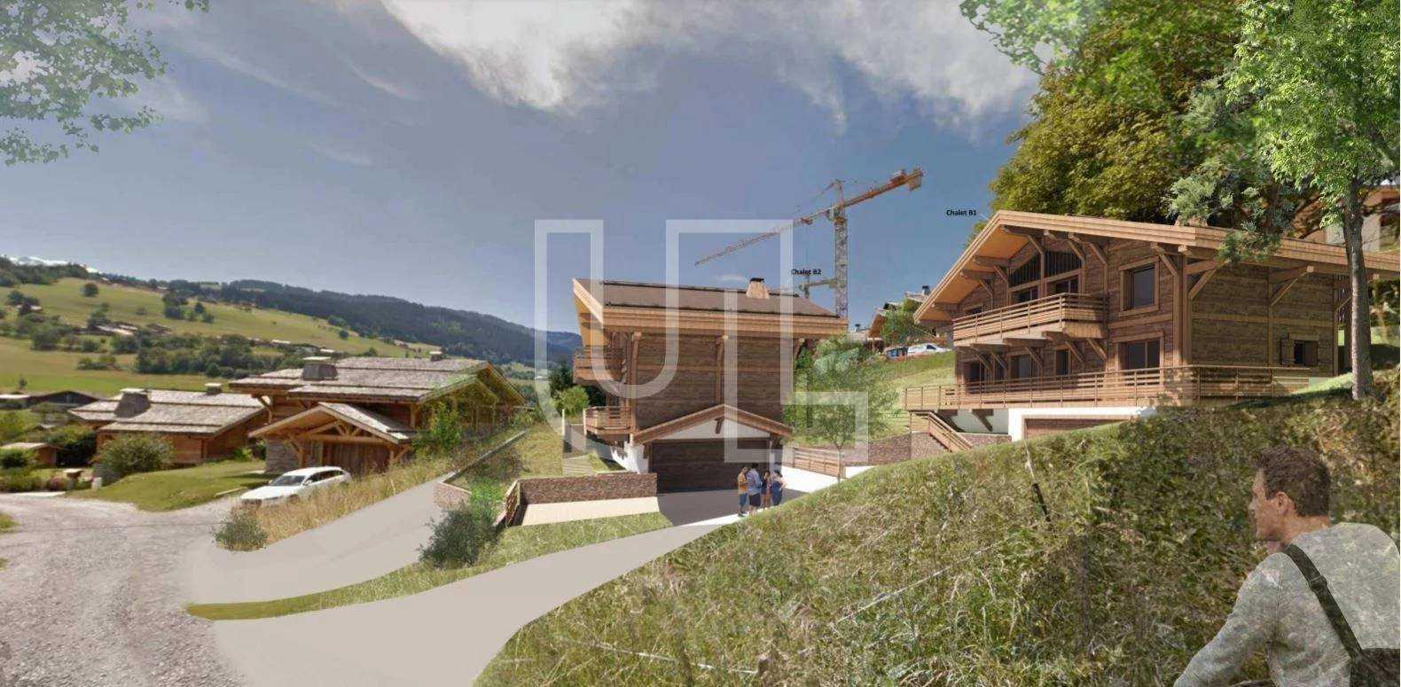 Casa nel Combloux, Alvernia-Rodano-Alpi 11191970