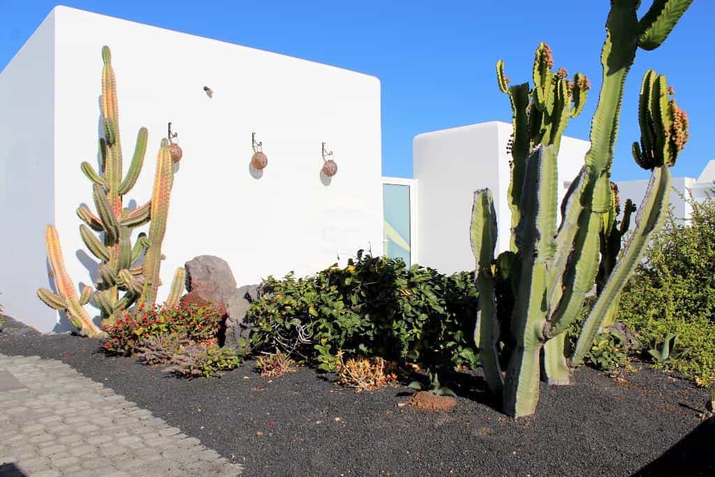 House in Charco del Palo, Canarias 11192058