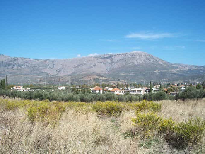 Tanah di Delphi,  11192251