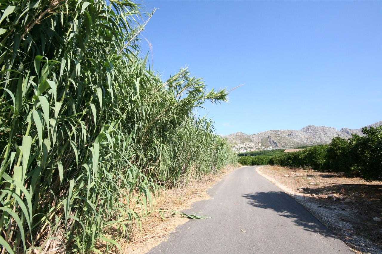 Land in Sanet i Els Negrals, Comunidad Valenciana 11200211