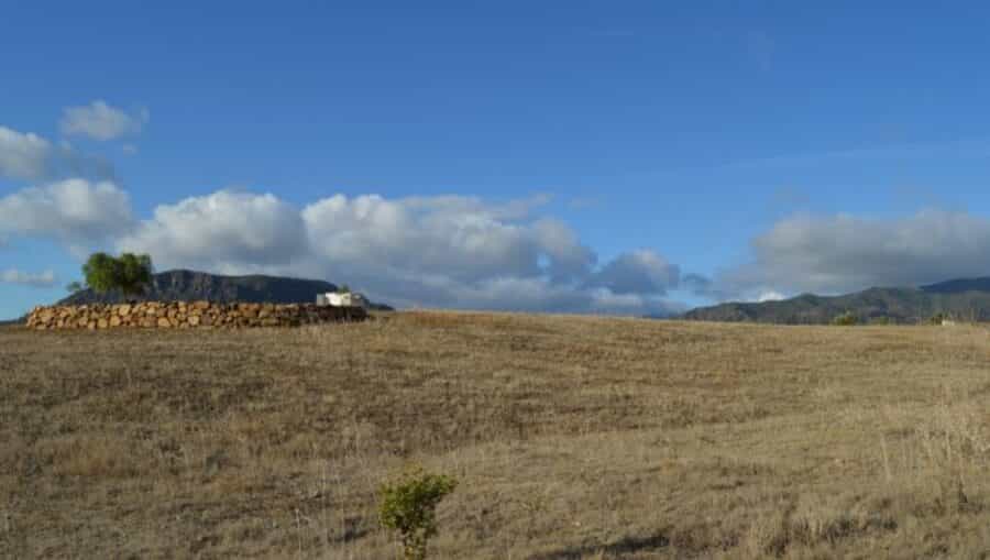 Land in Carratraca, Andalusia 11202312