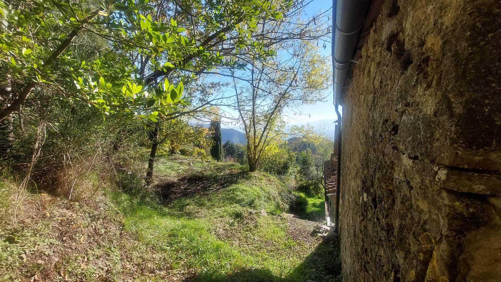 Talo sisään Pieve di Brancoli, Toscana 11202934