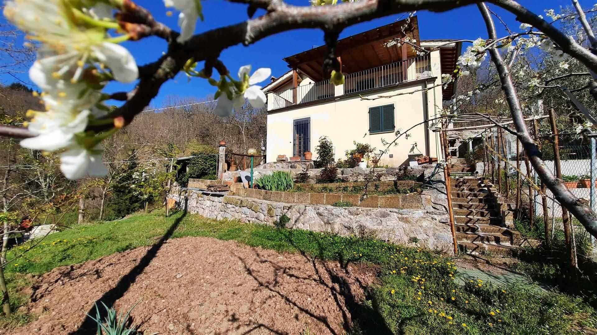 Dom w Molazzana, Toskania 11202958