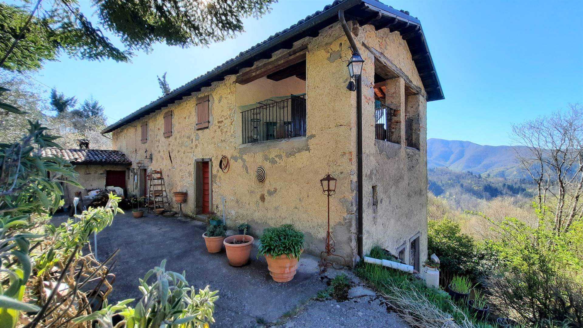 House in Molazzana, Tuscany 11202963