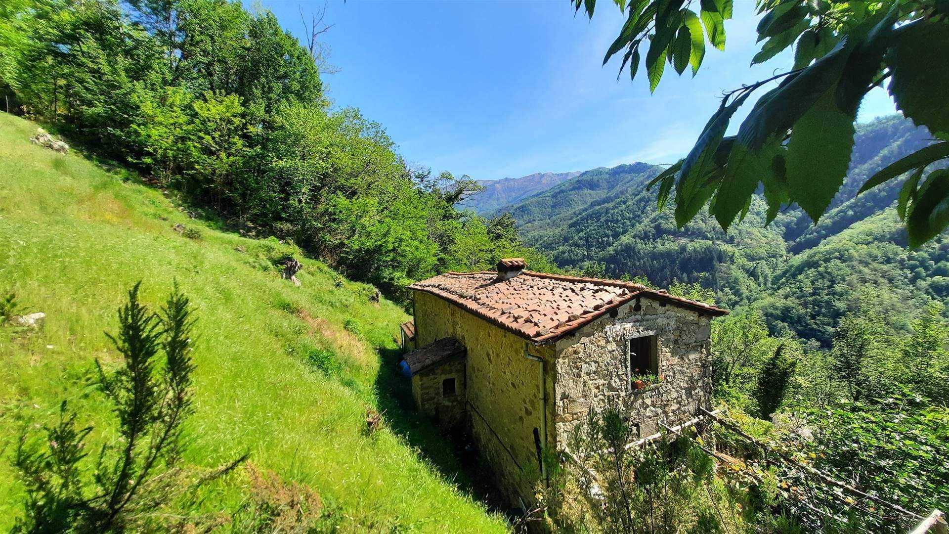 House in Barga, Tuscany 11202966
