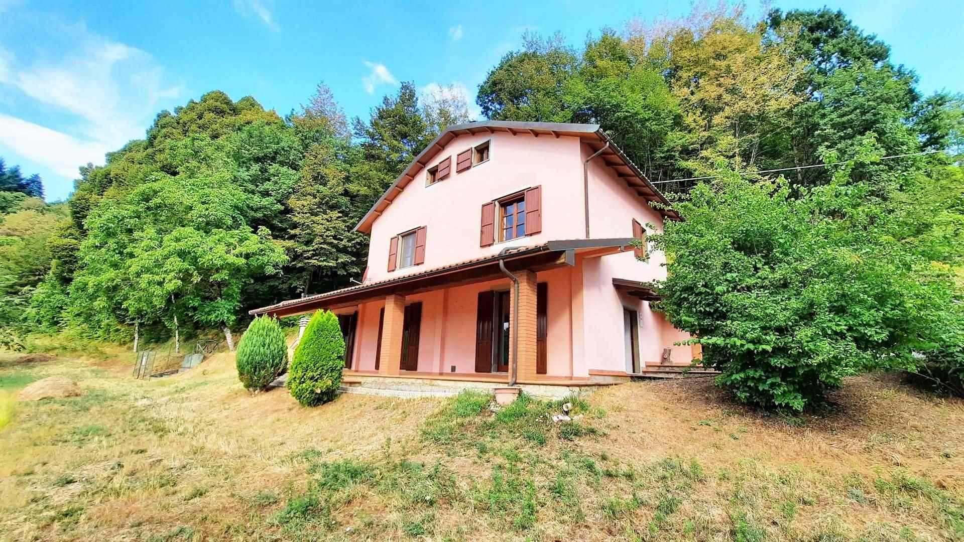 House in Molazzana, Tuscany 11202977