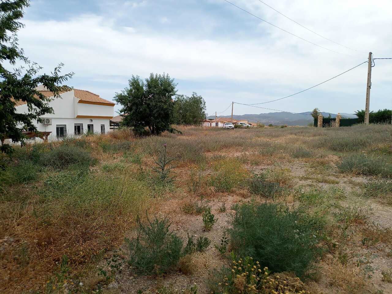 House in Albánchez, Andalucía 11212004