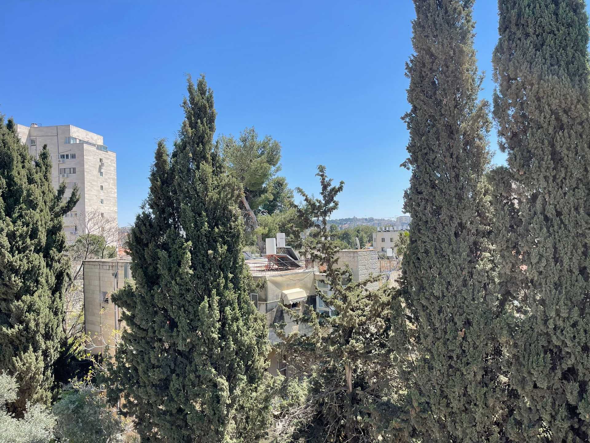 Condominium dans Jérusalem, Jérusalem 11213344