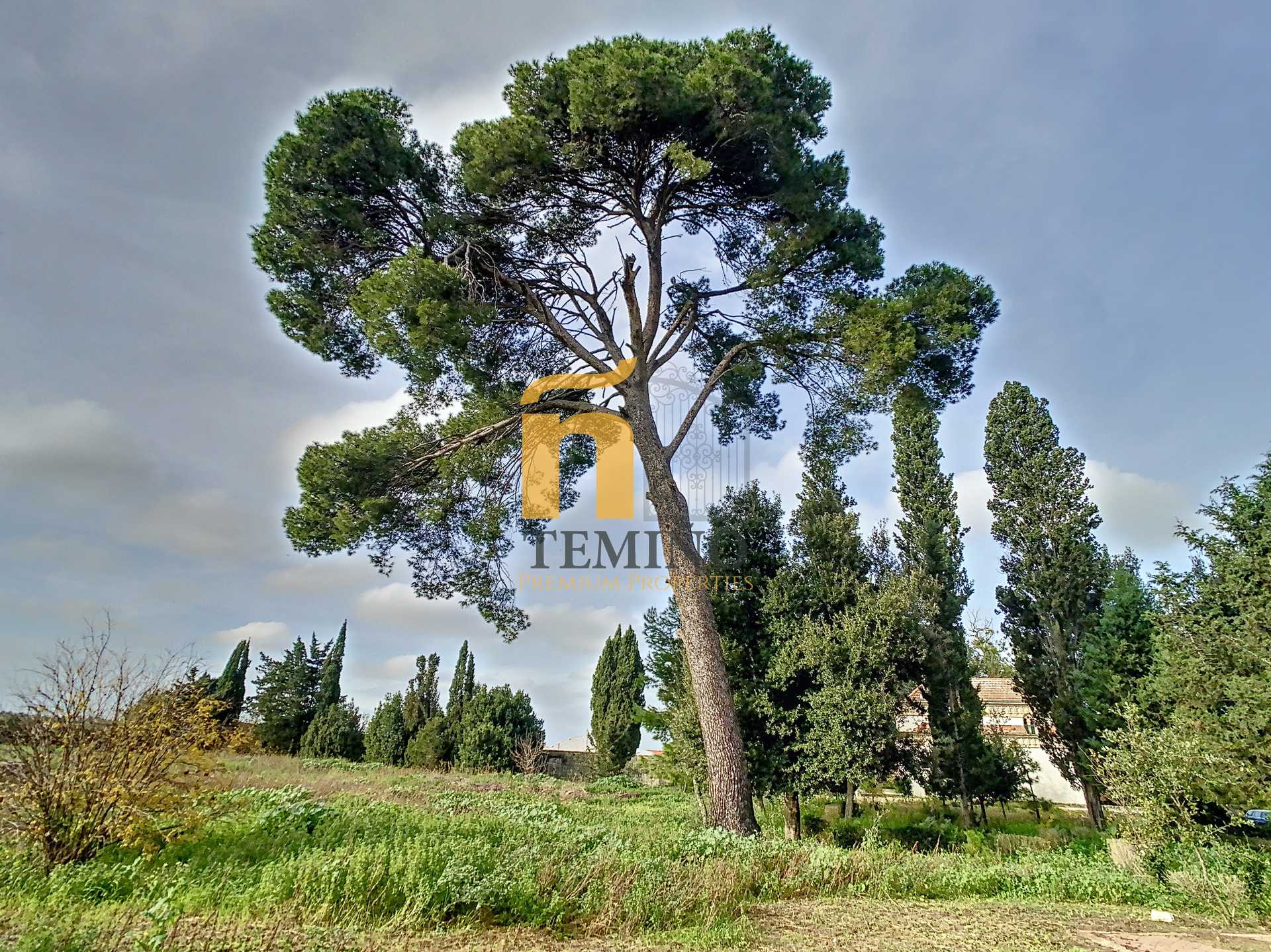 σπίτι σε Monteroni di Lecce, Apulia 11214985