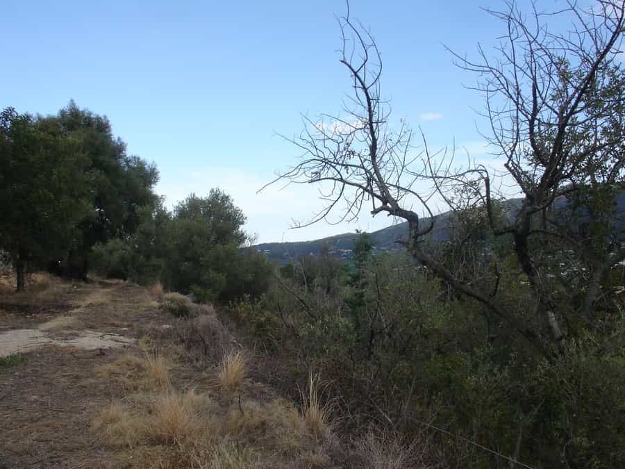 Terre dans Xaló, Comunidad Valenciana 11230859