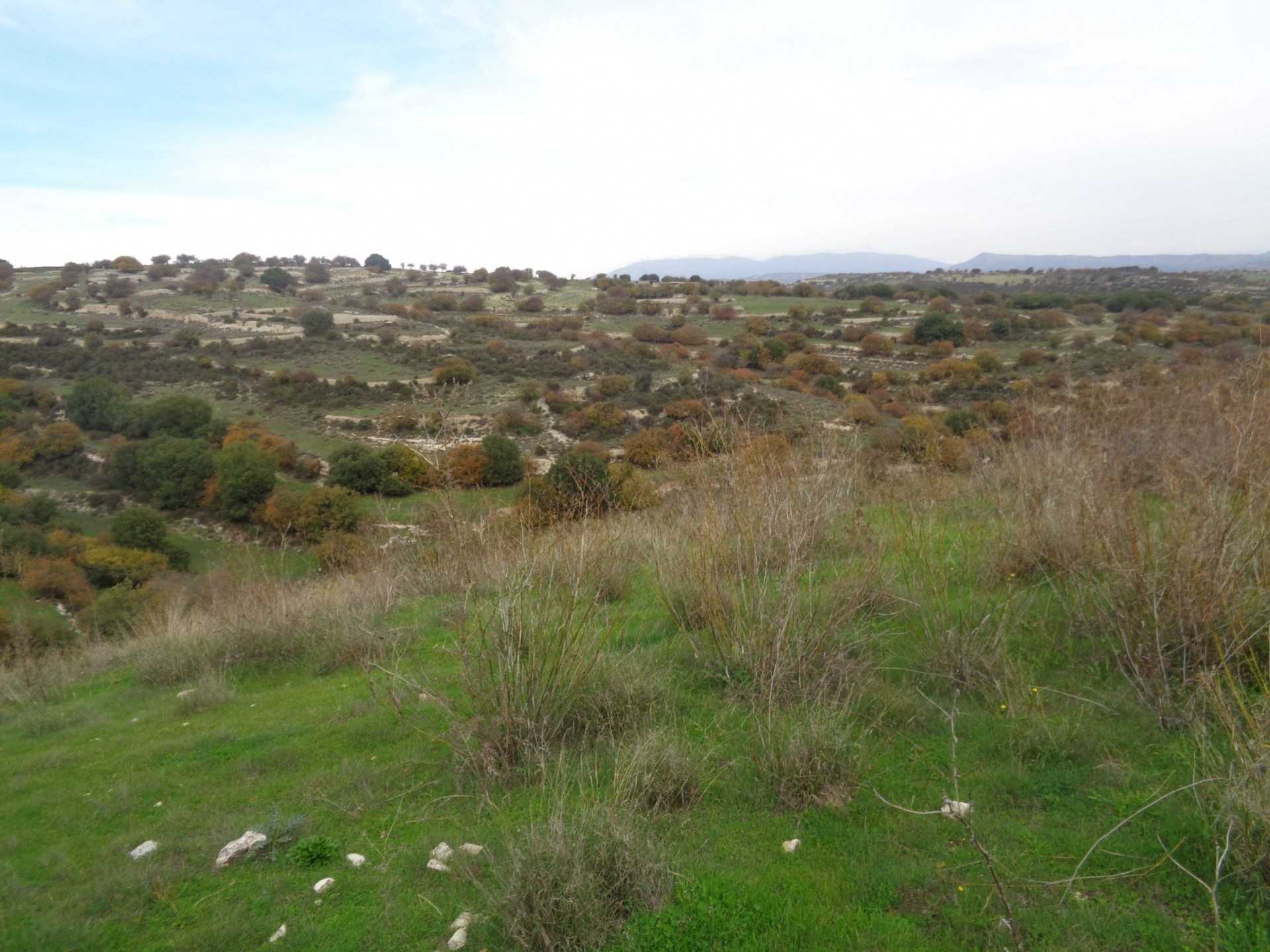 Land in Pampoula, Lemesos 11233414