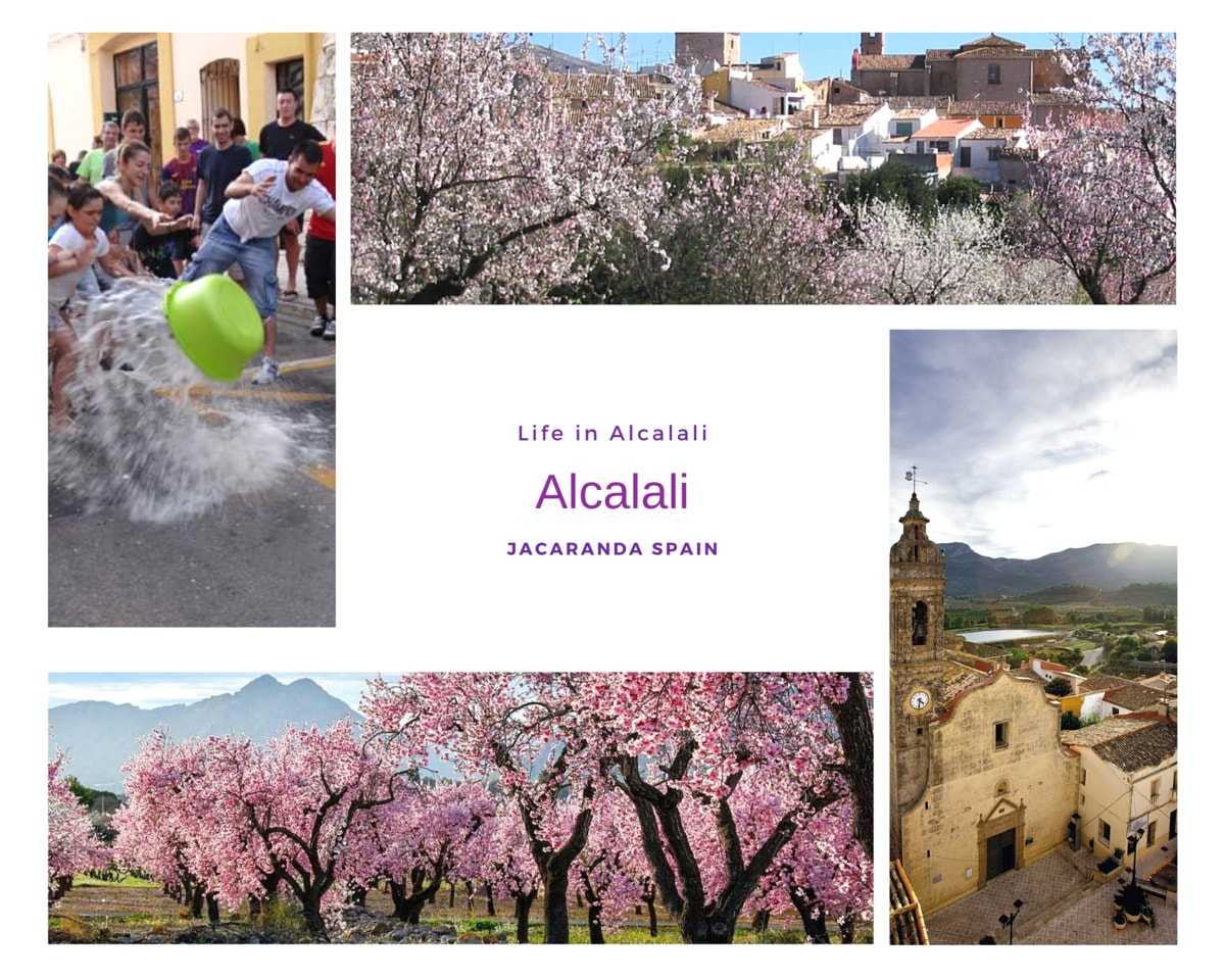 בַּיִת ב Alcalalí, Comunidad Valenciana 11233583