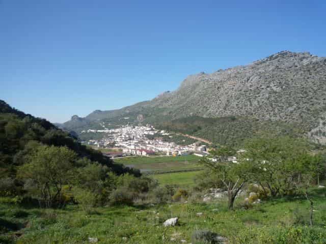 Hus i Benaojan, Andalusia 11239012