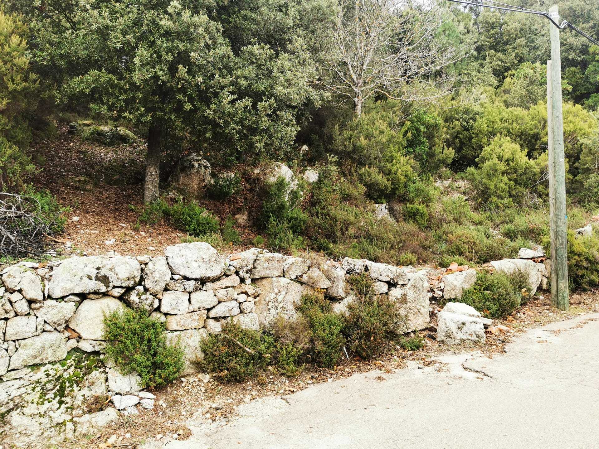 Land in Quenza, Corsica 11243253