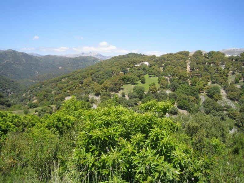 Land in Ronda, Andalusia 11247389