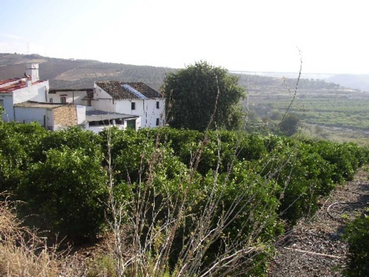 Casa nel El Chorro, Andalusia 11256891