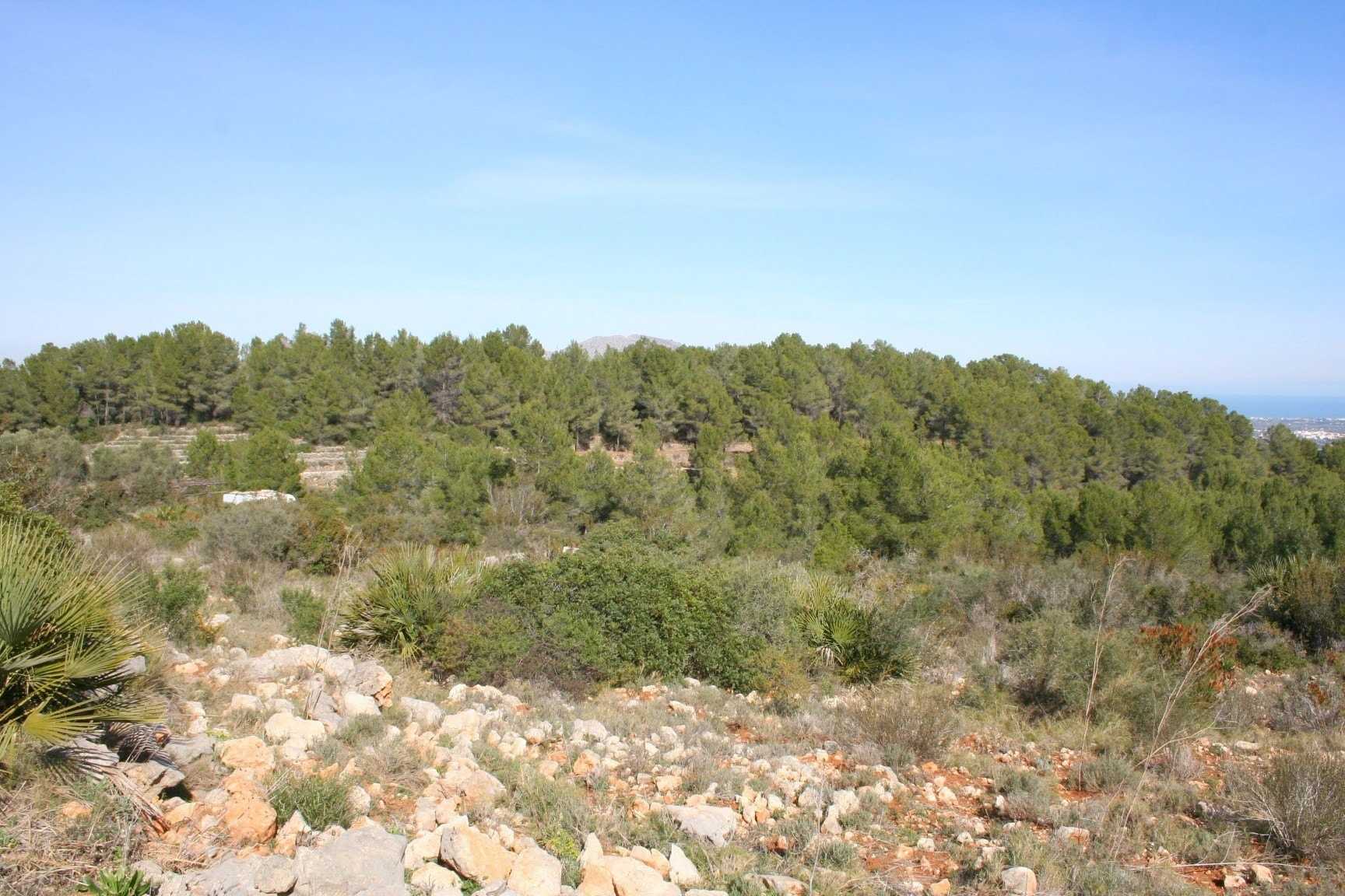 Terre dans , Comunidad Valenciana 11257517