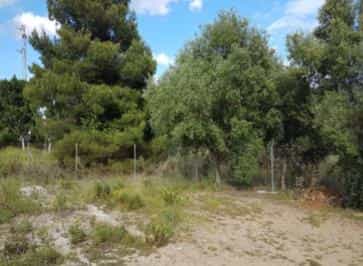 Land in El Angel, Andalusia 11259226