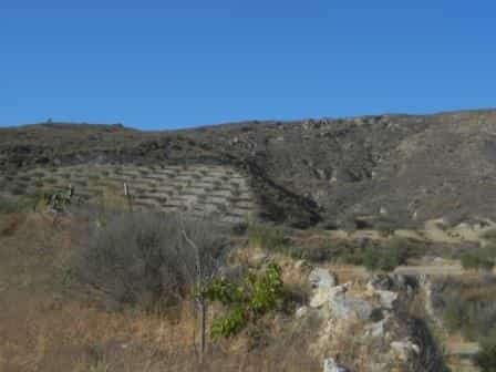 Land in Sorbas, Andalusia 11269485