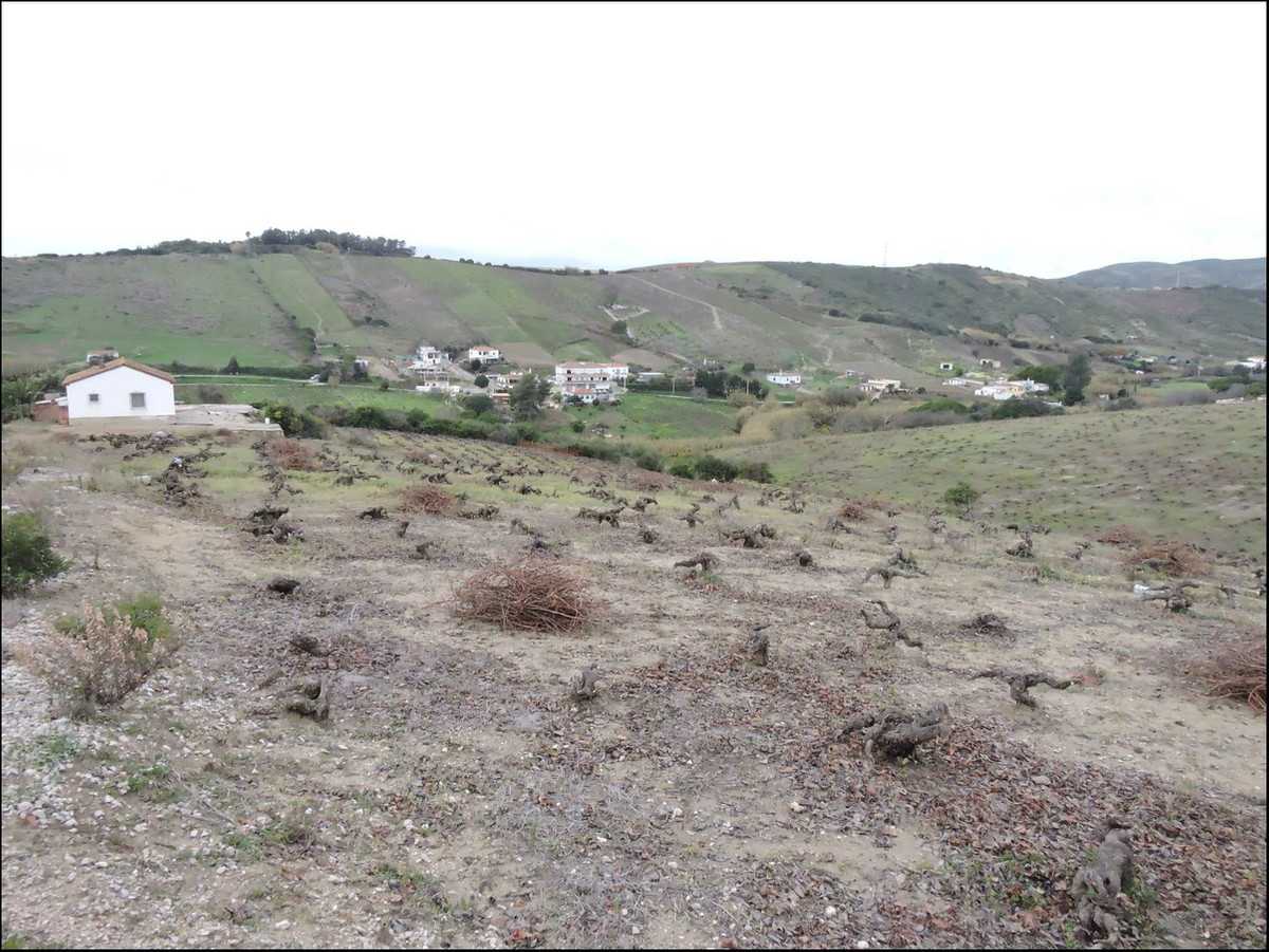 Land in Manilva, Andalucía 11272214