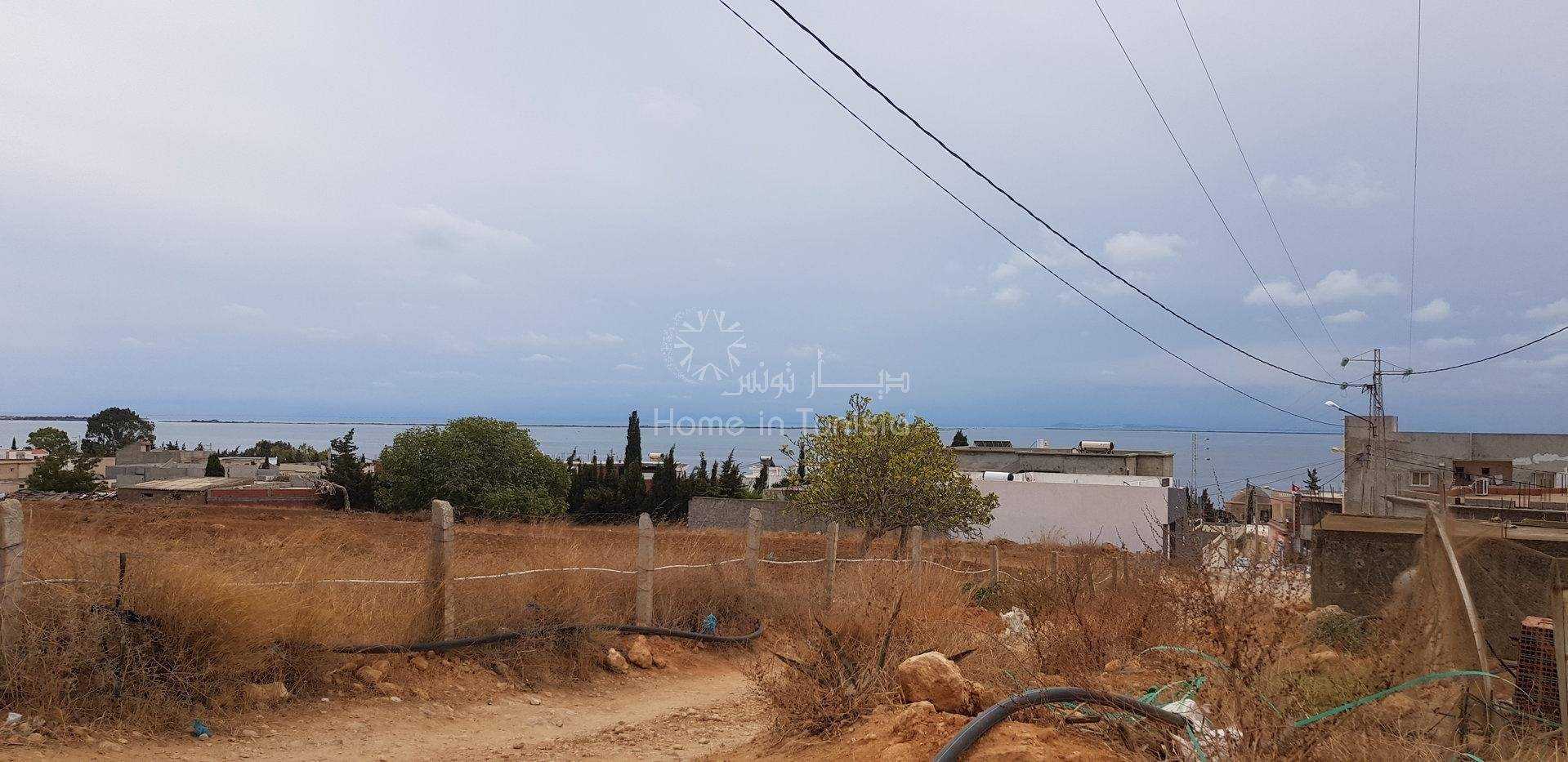Land im Rhar el-Melah, Bizerta 11275851