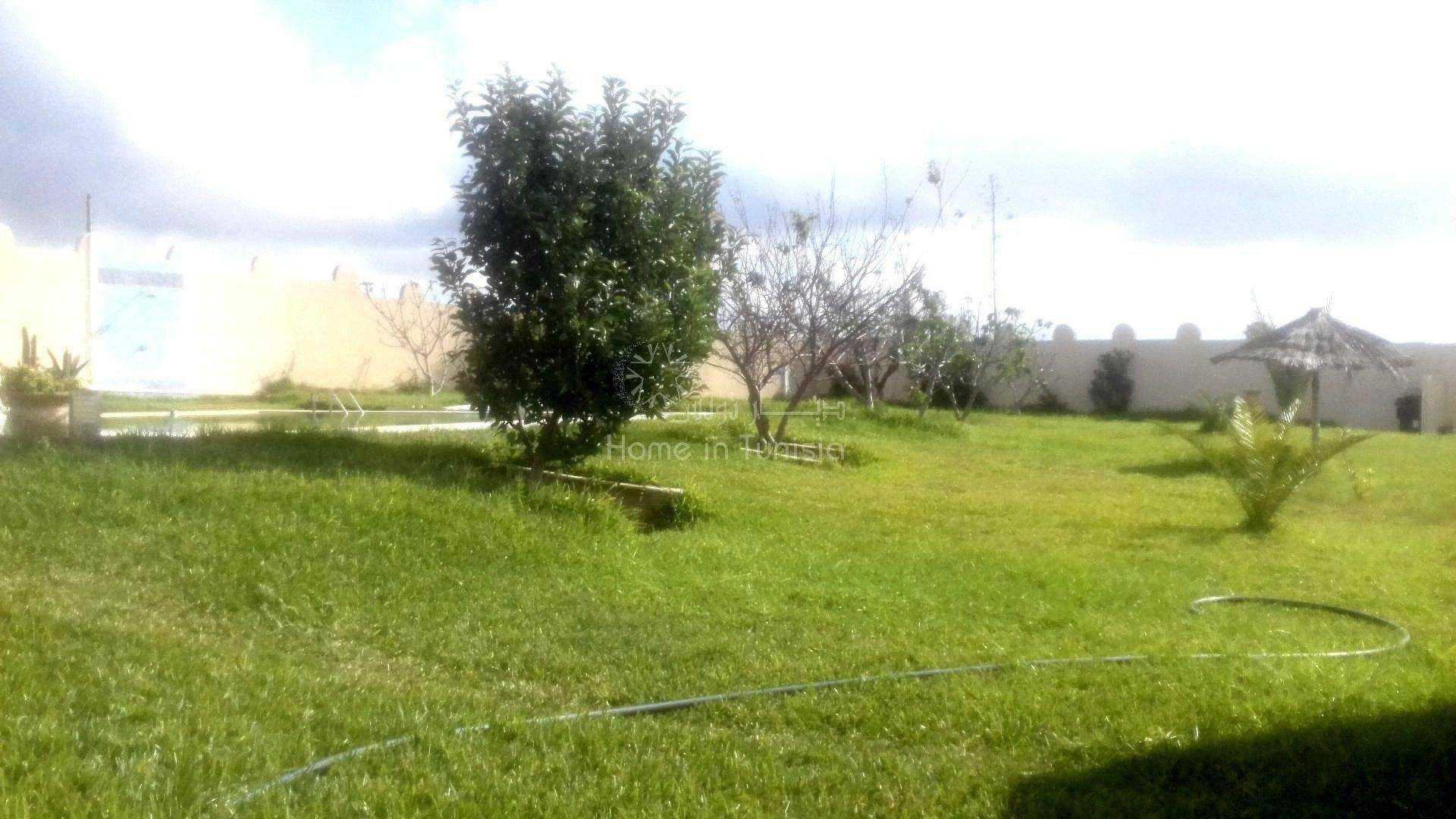Hus i Kelaa Kebira, Sousse 11275921