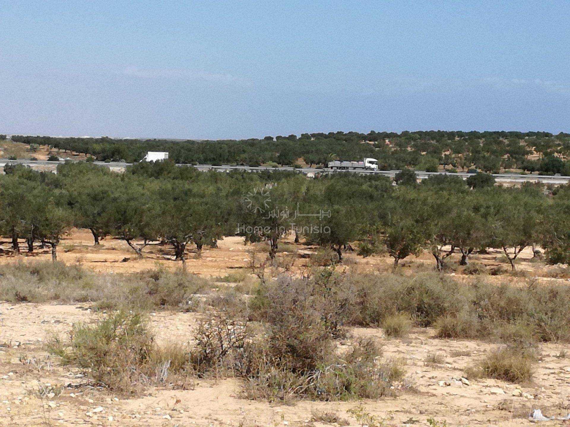 Land in Sidi Bou Ali, Sousse 11276199