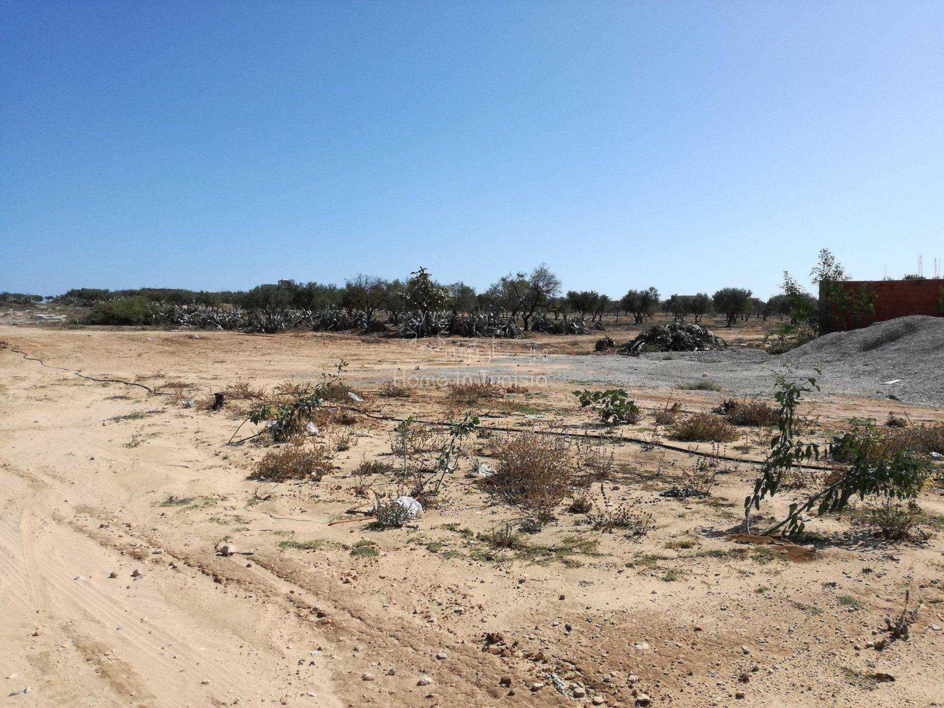 Terre dans Sidi Bou Ali, Gouvernorat de Sousse 11276235