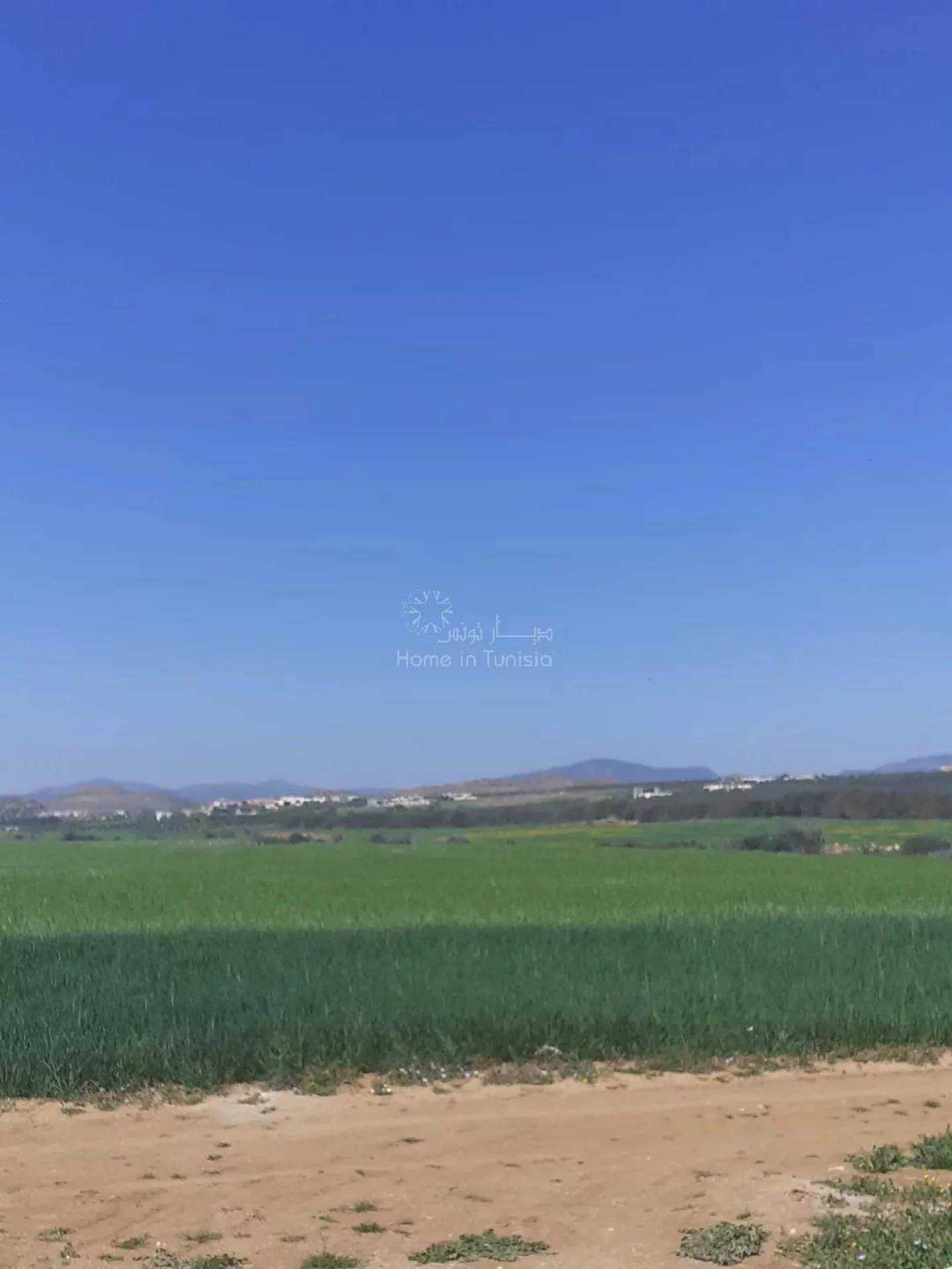 Land in Bir Bou Rekba, Nabeul 11276332