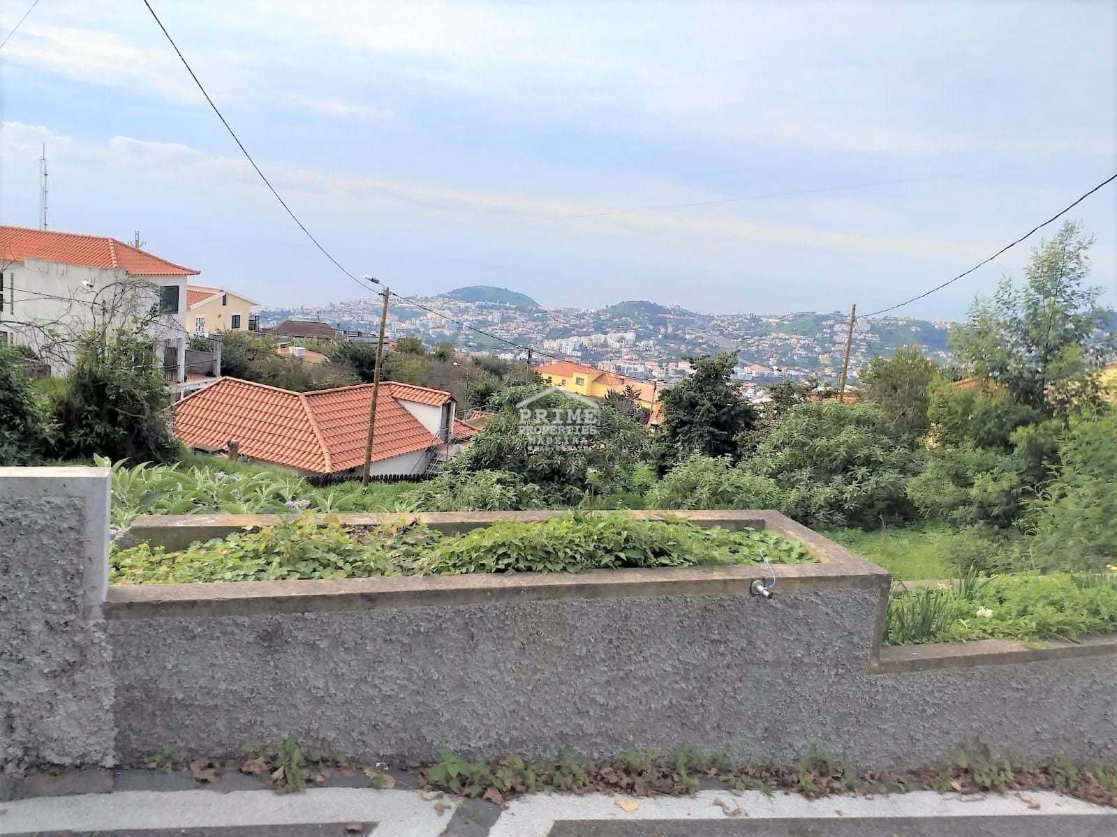 Tanah dalam Terreiro da Luta, Madeira 11279544