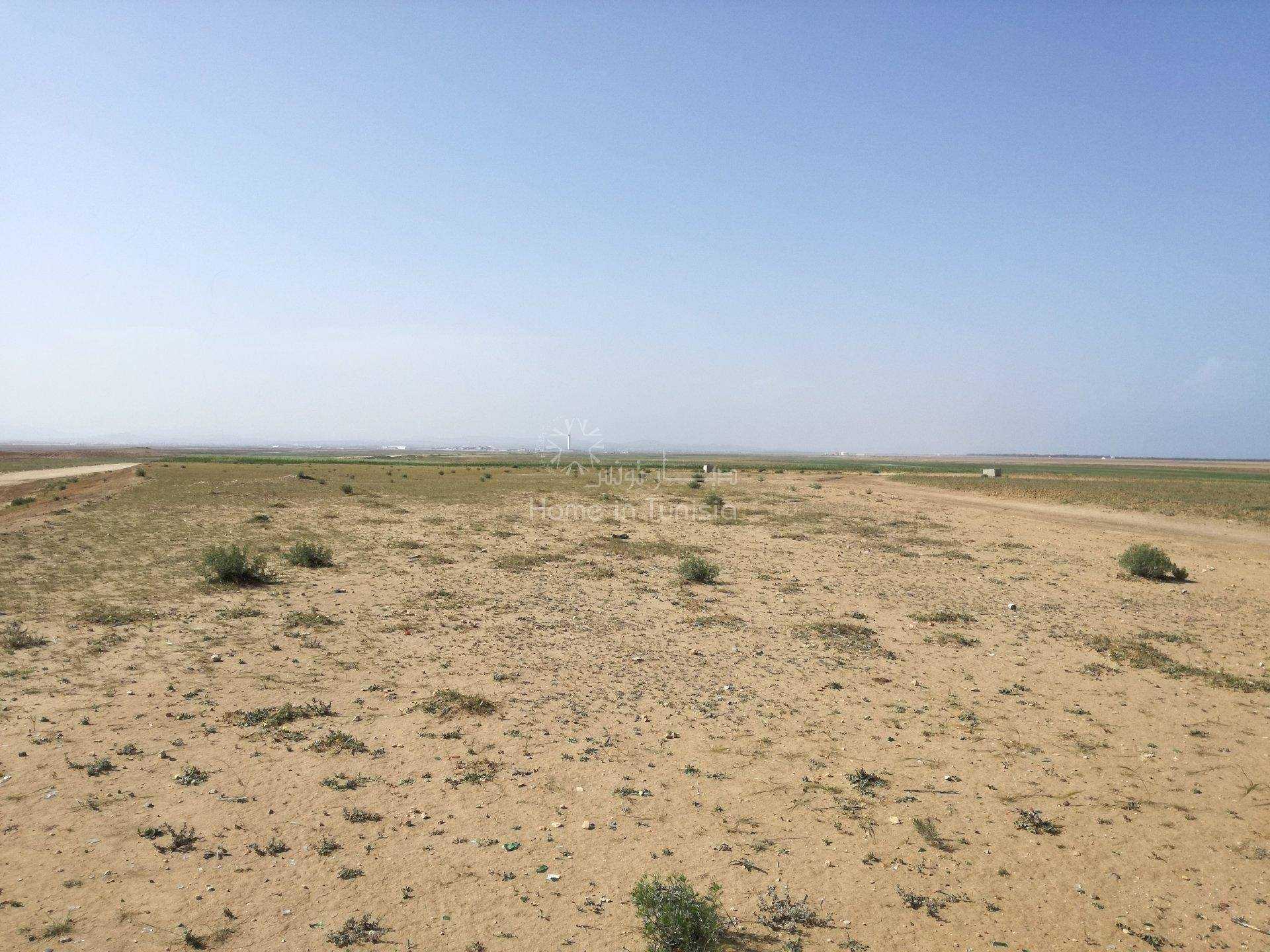 Tanah dalam Harqalah, Sousse 11286272