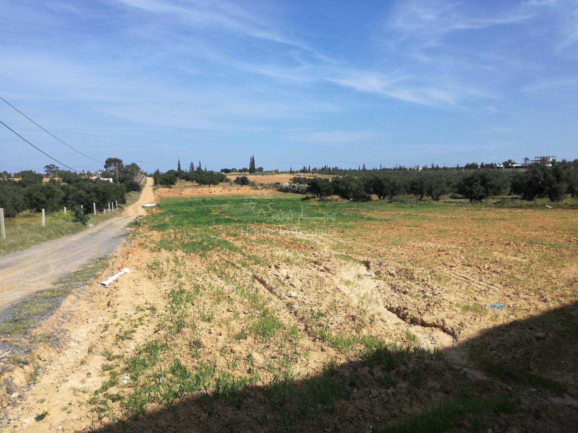 Tanah dalam Akouda, Sousse 11286288