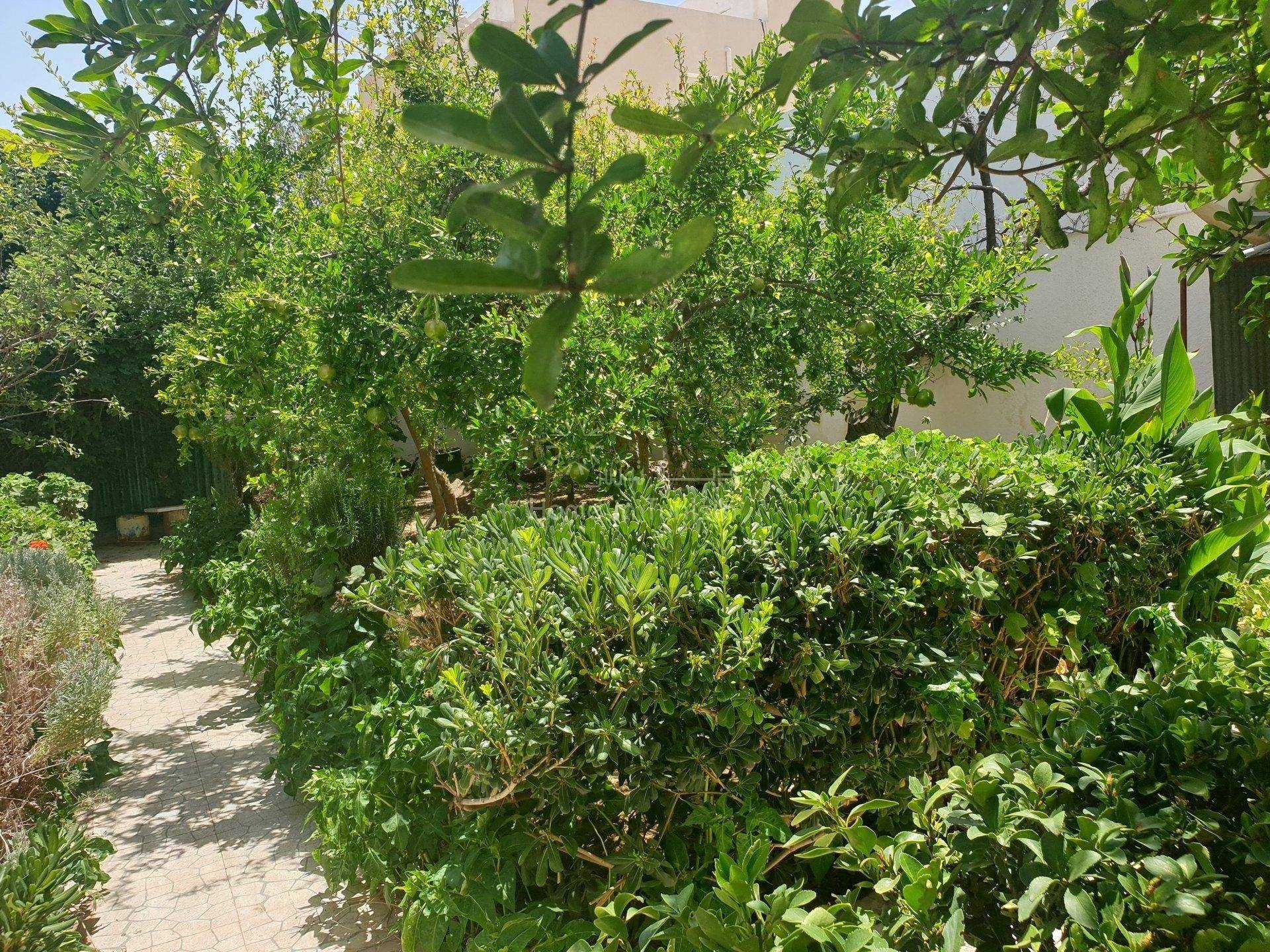 rumah dalam Zaouiet Sousse, Sousse 11286334