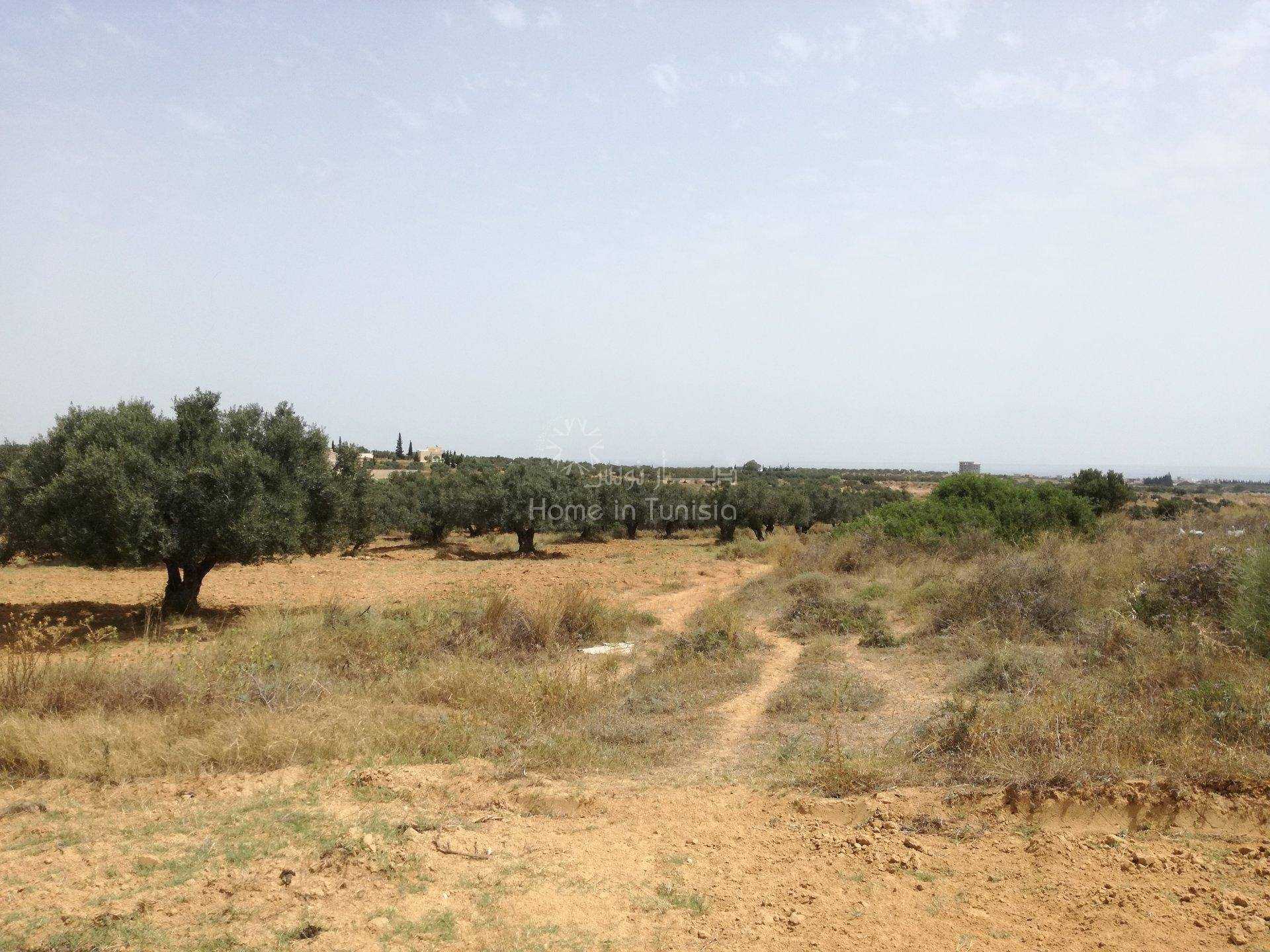 Земля в Akouda, Sousse 11286411