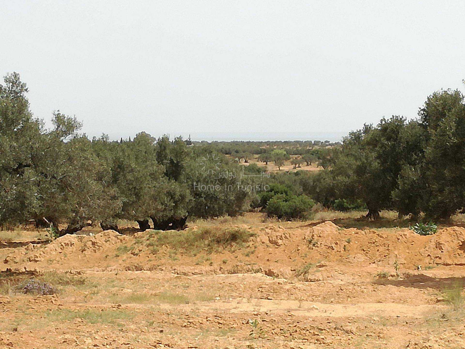 Земля в Akouda, Sousse 11286411