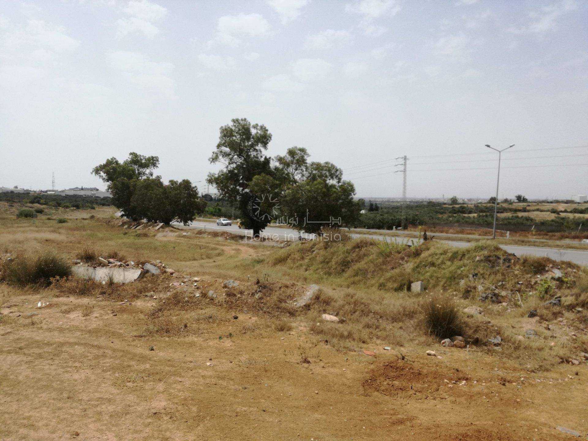 Tanah dalam Akouda, Sousse 11286411