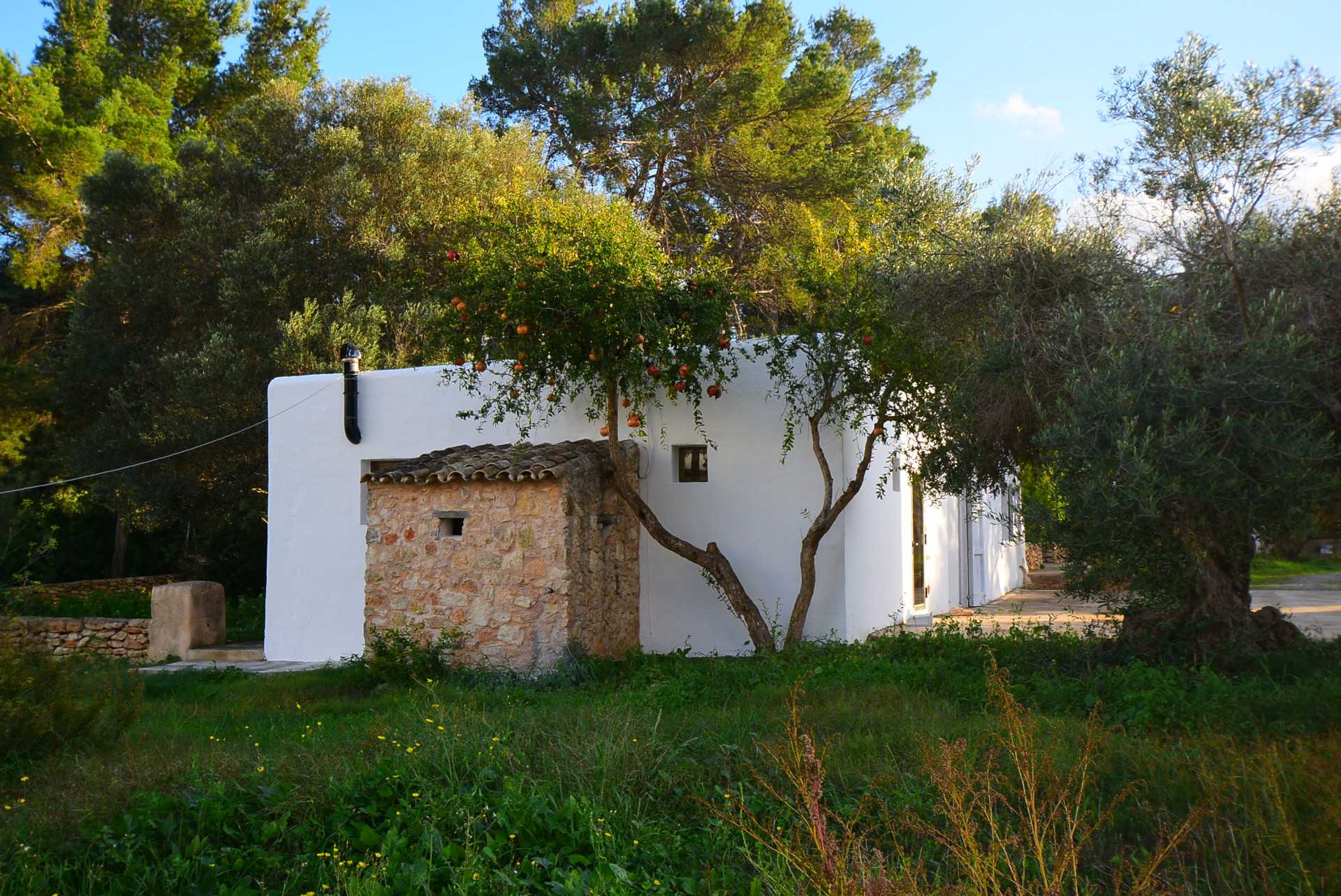 房子 在 Santa Eulària des Riu, Balearic Islands 11287433