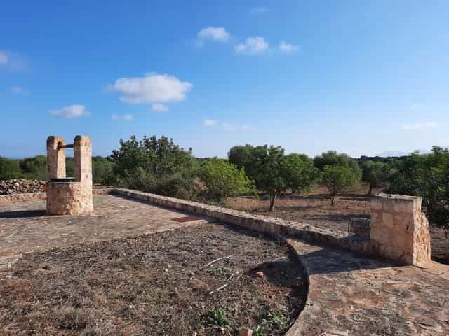 Tanah di Santa Margalida, Illes Balears 11292536